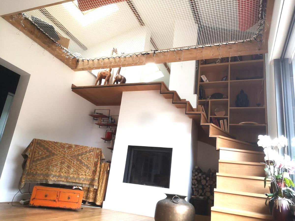 סורטס הוסגור Villa Hossegor - 4 Etoiles, 6 Chambres - 5 Salles De Bains - Piscine Chauffee 5 Mn Des Plages מראה חיצוני תמונה